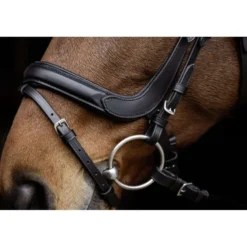 Covalliero Hoofdstel Anatomic Zwart