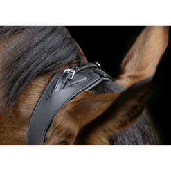 Covalliero Hoofdstel Anatomic Zwart