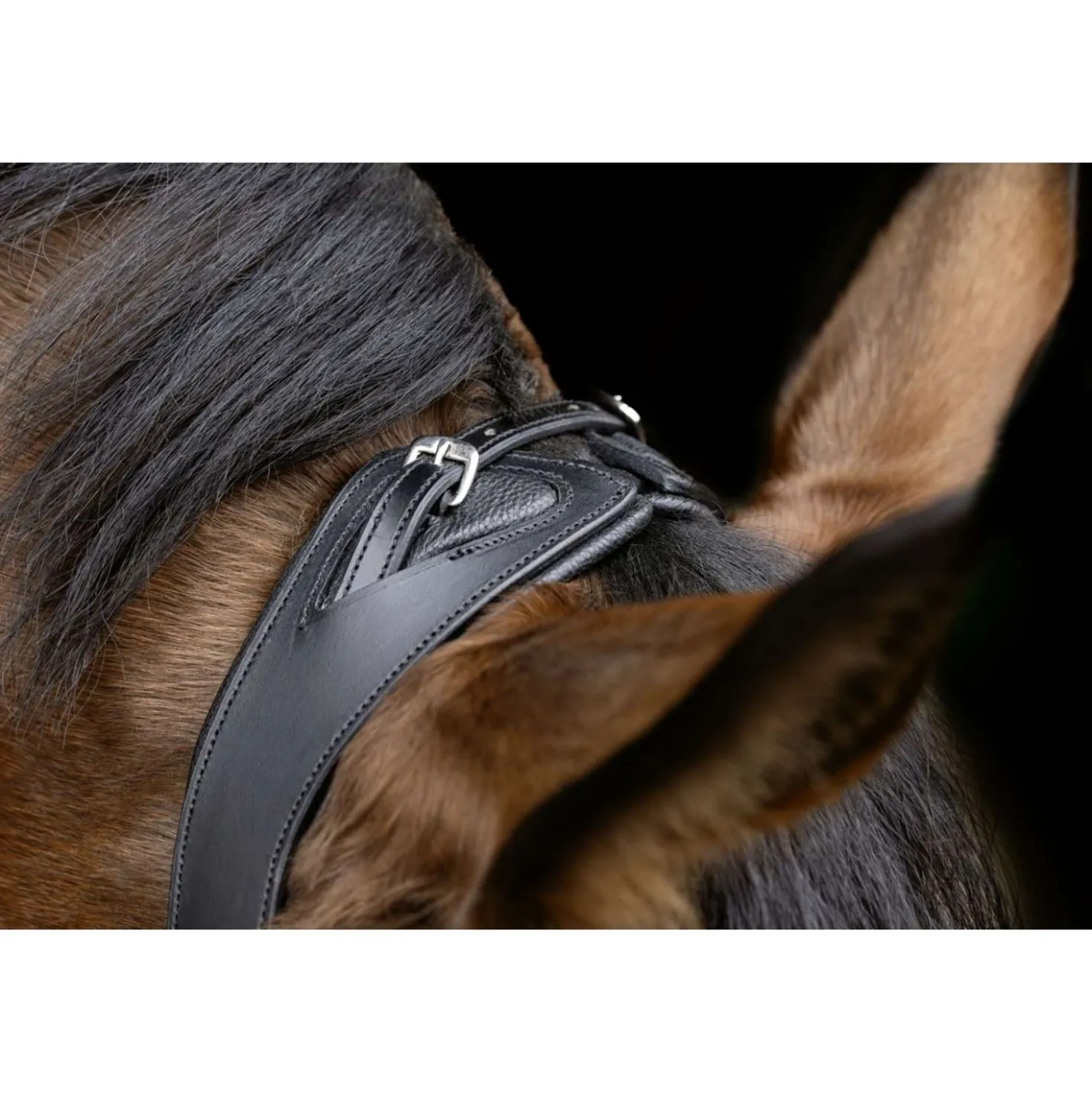 Covalliero Hoofdstel Anatomic Zwart