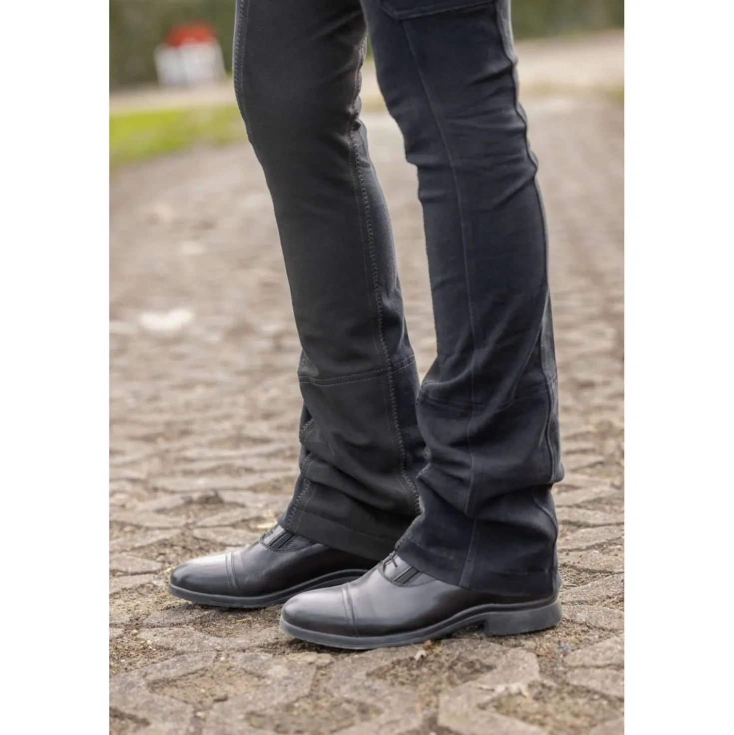 Covalliero Jodhpurrijbroek BasicPlus Graphite