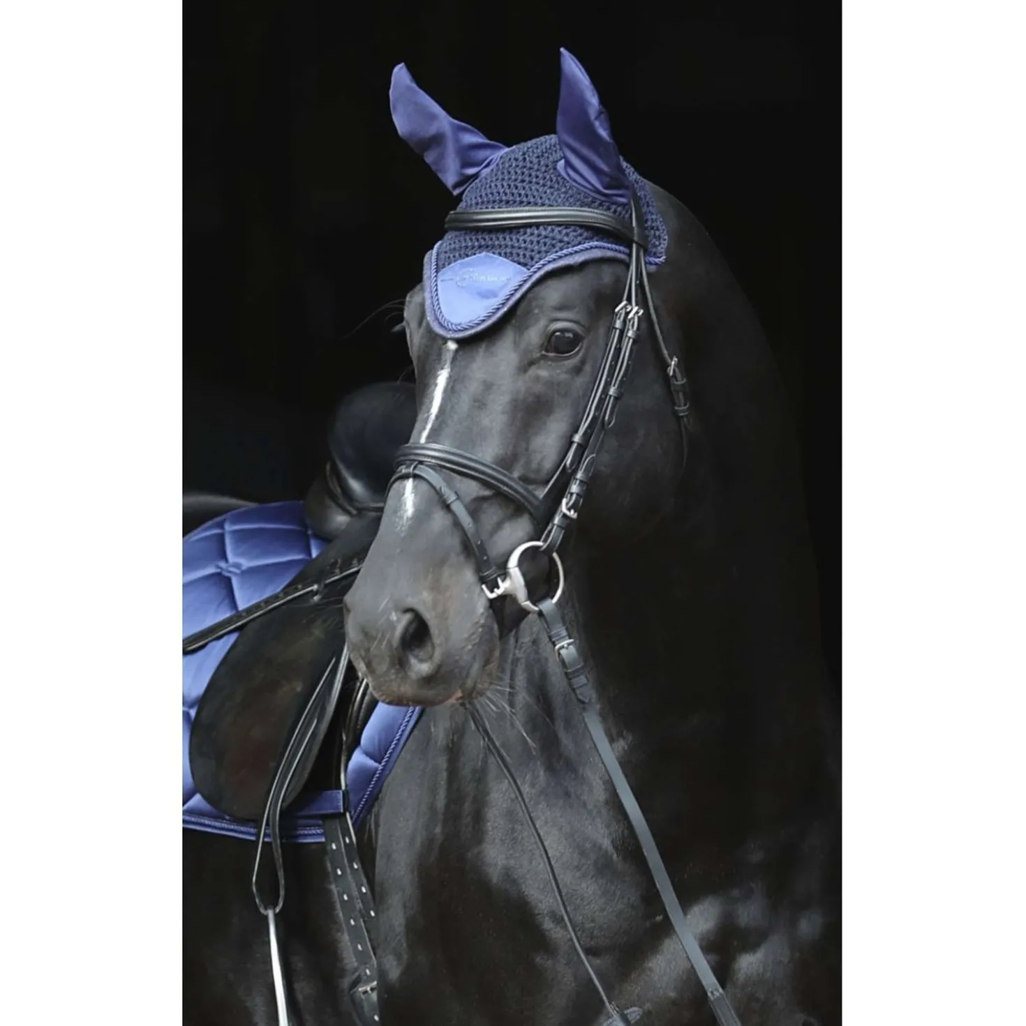 Covalliero Oornetje Empara Navy