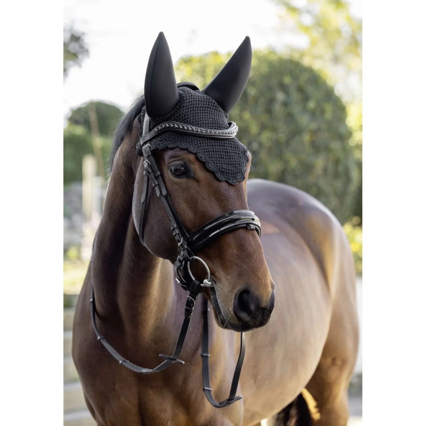 Covalliero Oornetje Soundless AW26 Zwart
