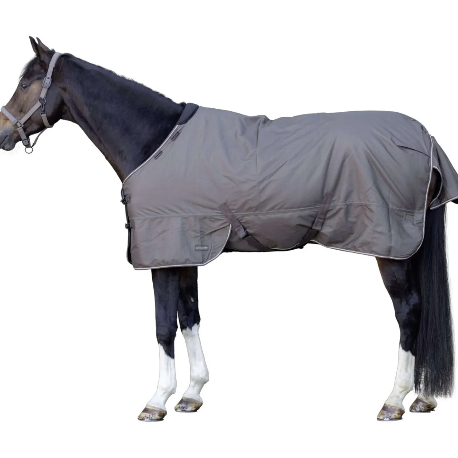 Covalliero Outdoordeken AW26 300g Milky Chocolate