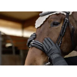 Covalliero Rijhandschoenen AW26 Zwart