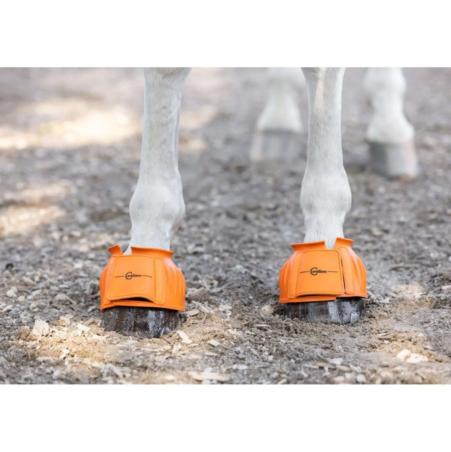 Covalliero Springschoenen Rubber Oranje