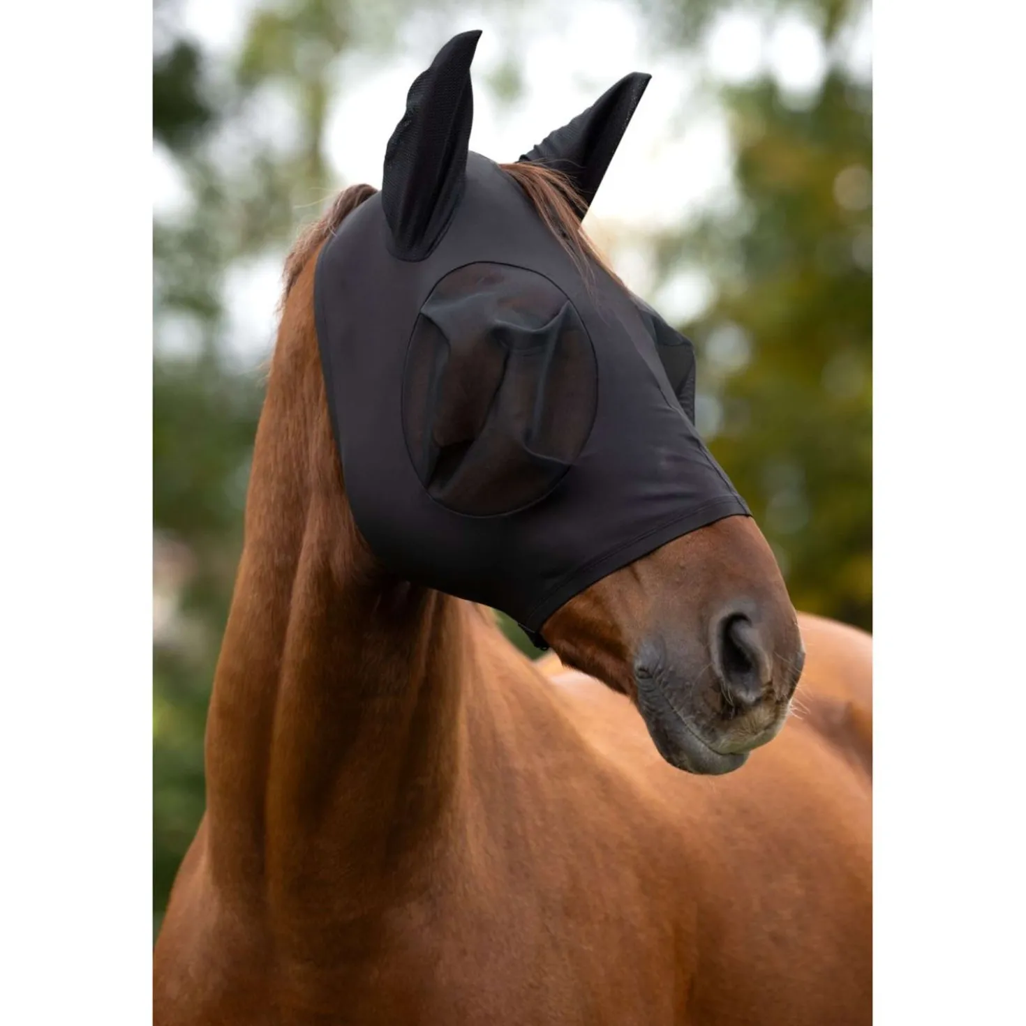 Covalliero Vliegenmasker FinoStretch Zwart
