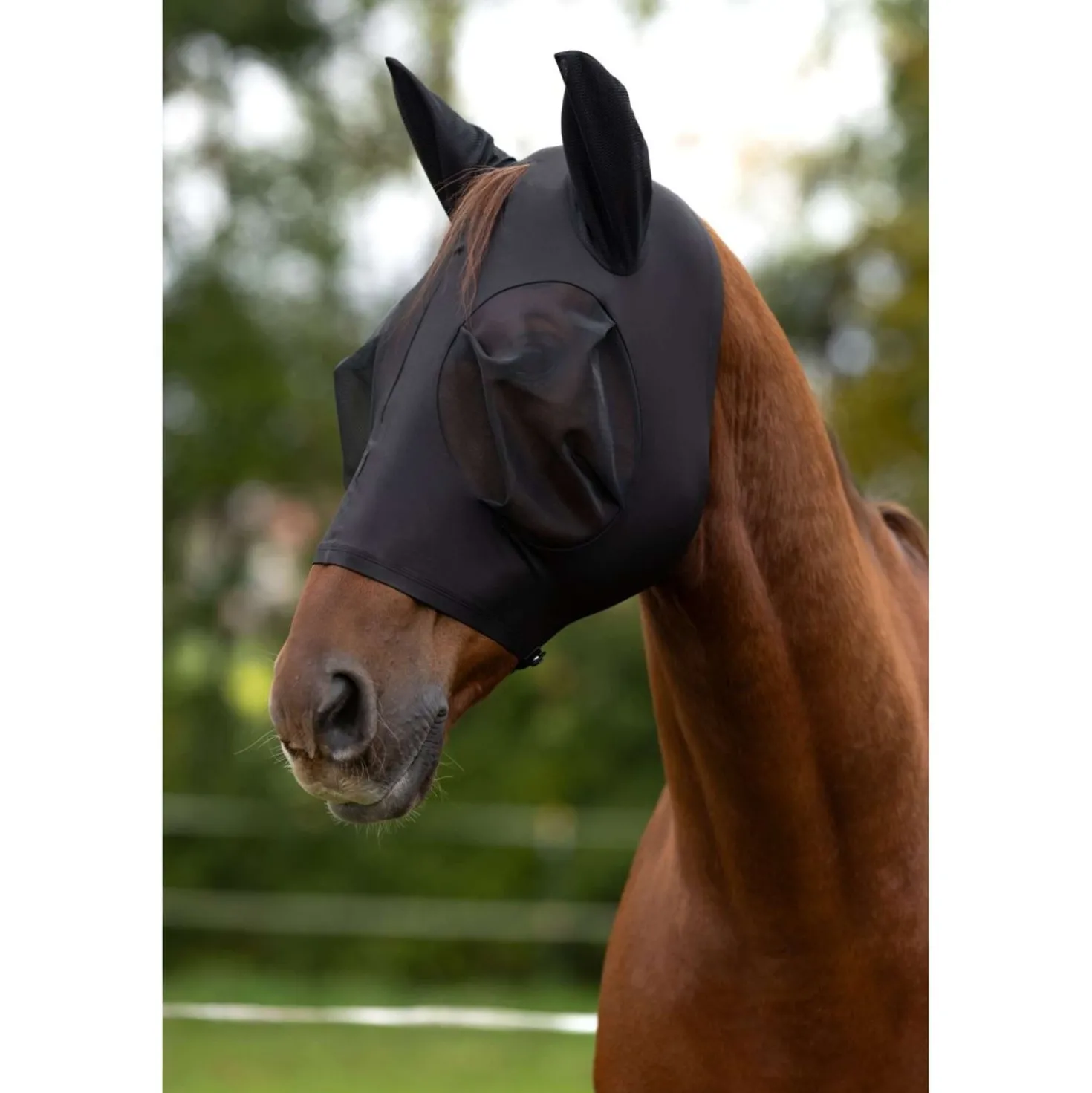 Covalliero Vliegenmasker FinoStretch Zwart