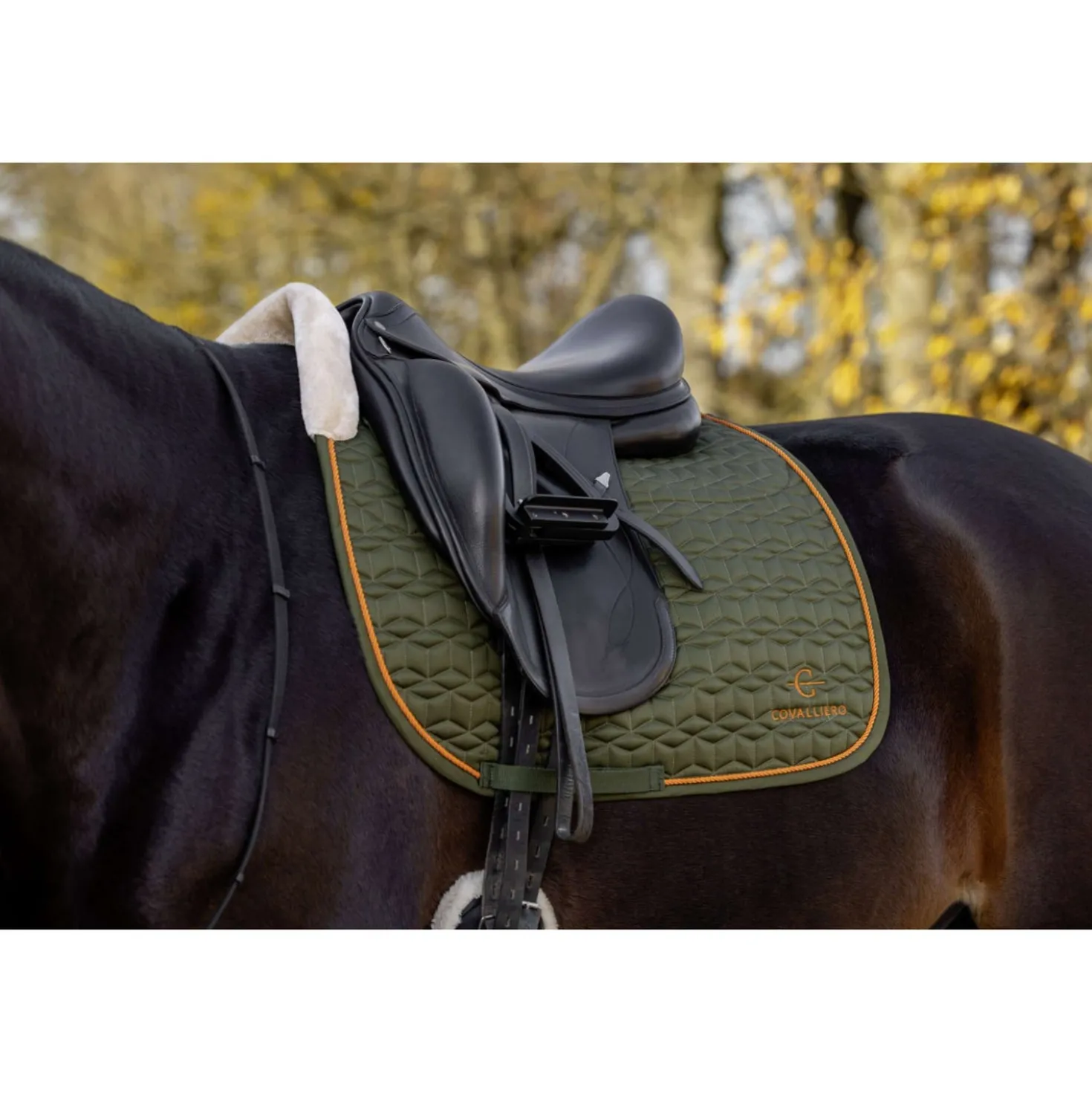 Covalliero Zadeldekje Soft AW26 Dressuur Forest Green