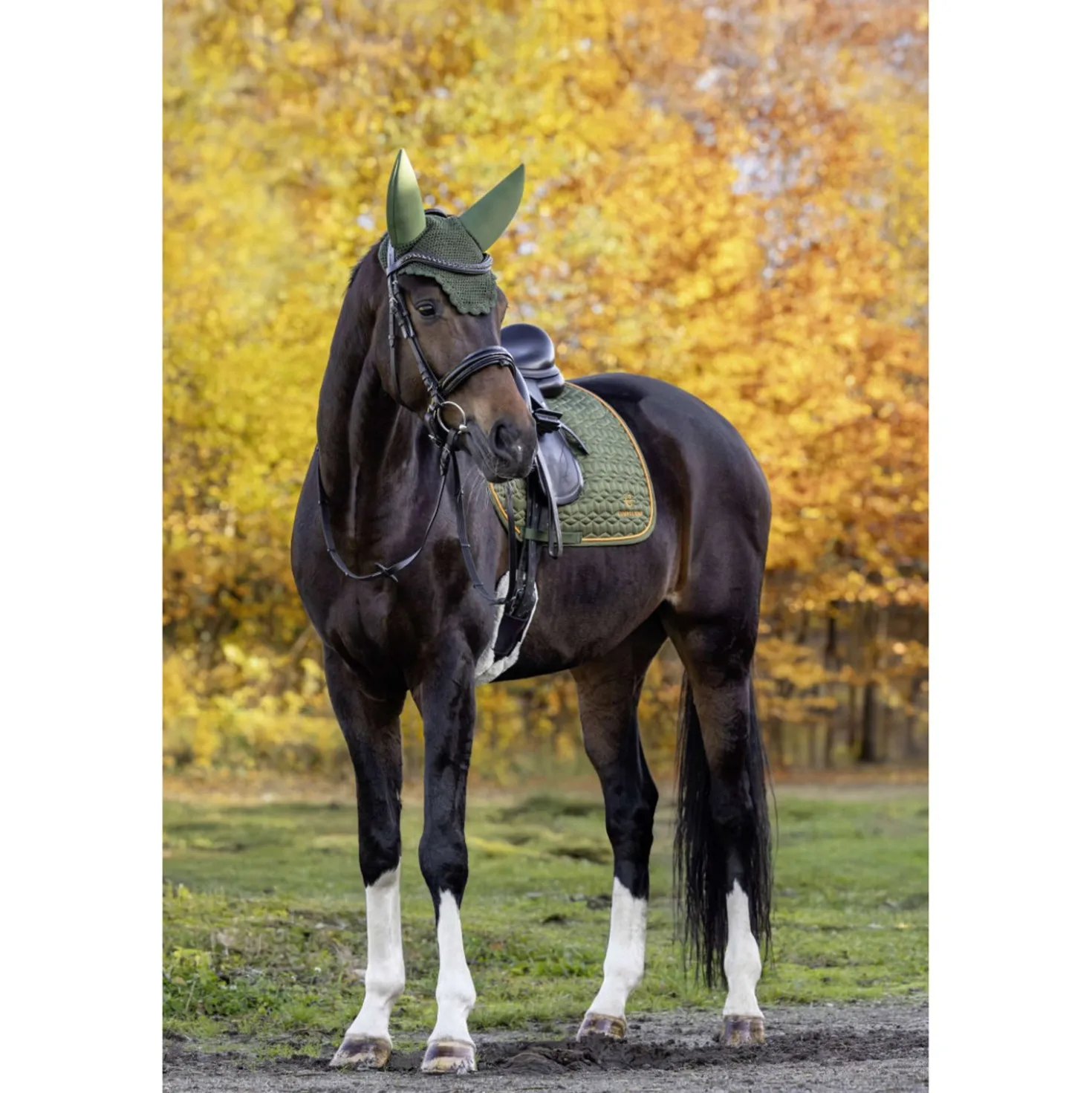 Covalliero Zadeldekje Soft AW26 Dressuur Forest Green