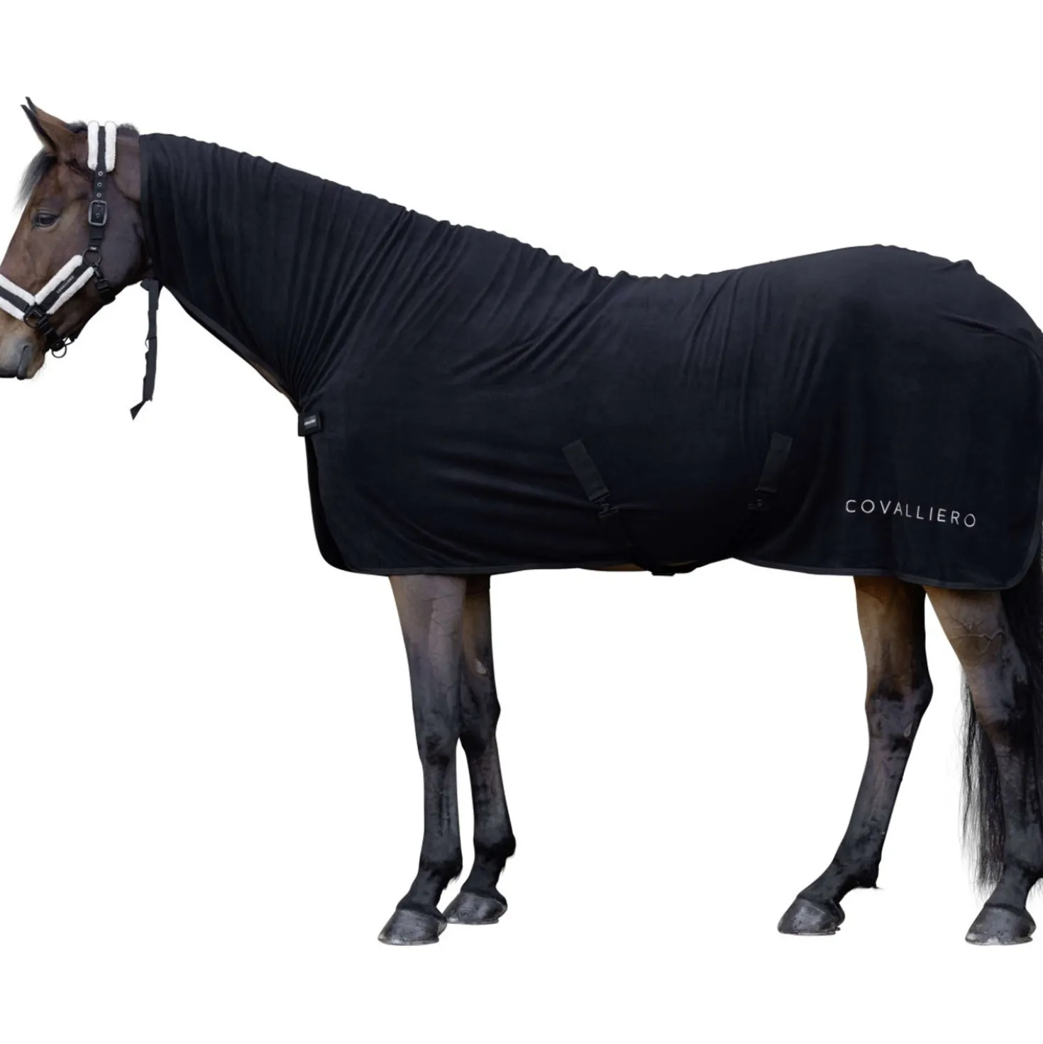 Covalliero Zweetdeken AW26 Zwart
