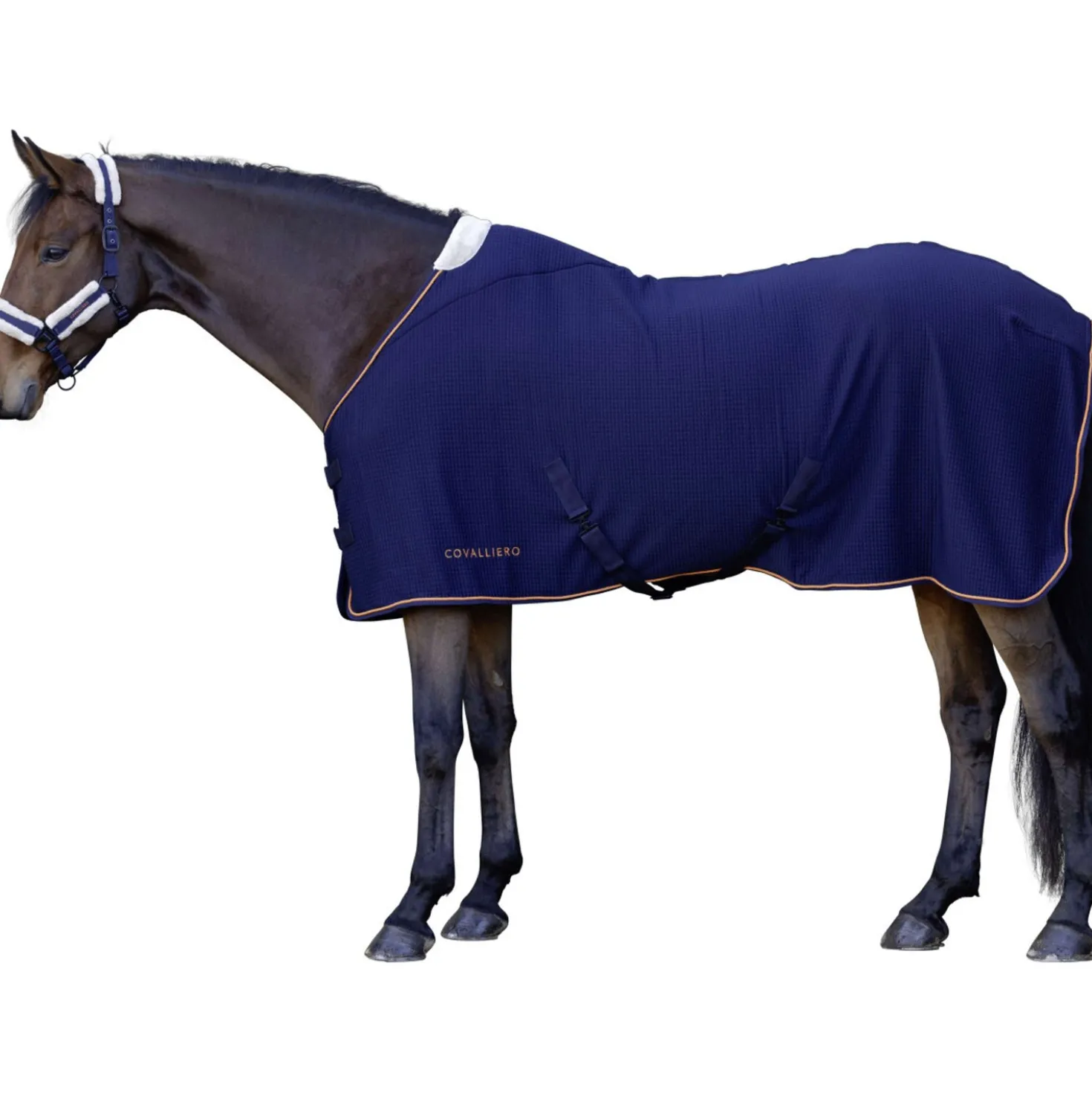 Covalliero Zweetdeken Premium AW26 Dark Navy