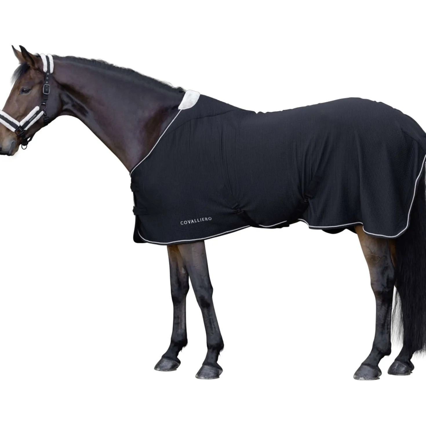Covalliero Zweetdeken Premium AW26 Zwart
