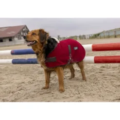Diego & Louna Hondendeken Polar Bordeaux
