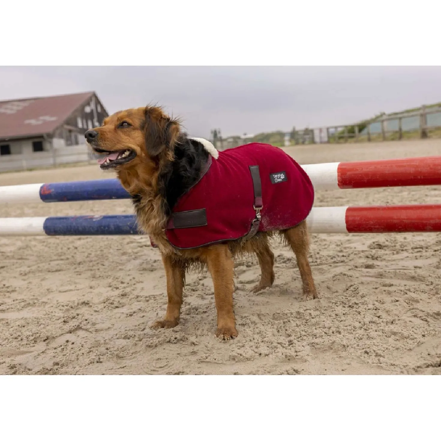 Diego & Louna Hondendeken Polar Bordeaux