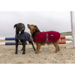 Diego & Louna Hondendeken Polar Navy