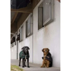Diego & Louna Hondendeken Polar Zwart