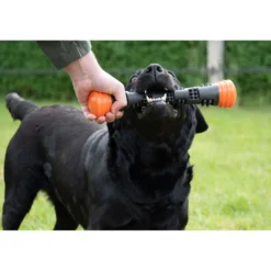 Dog Comets Werpstok Meteor Oranje