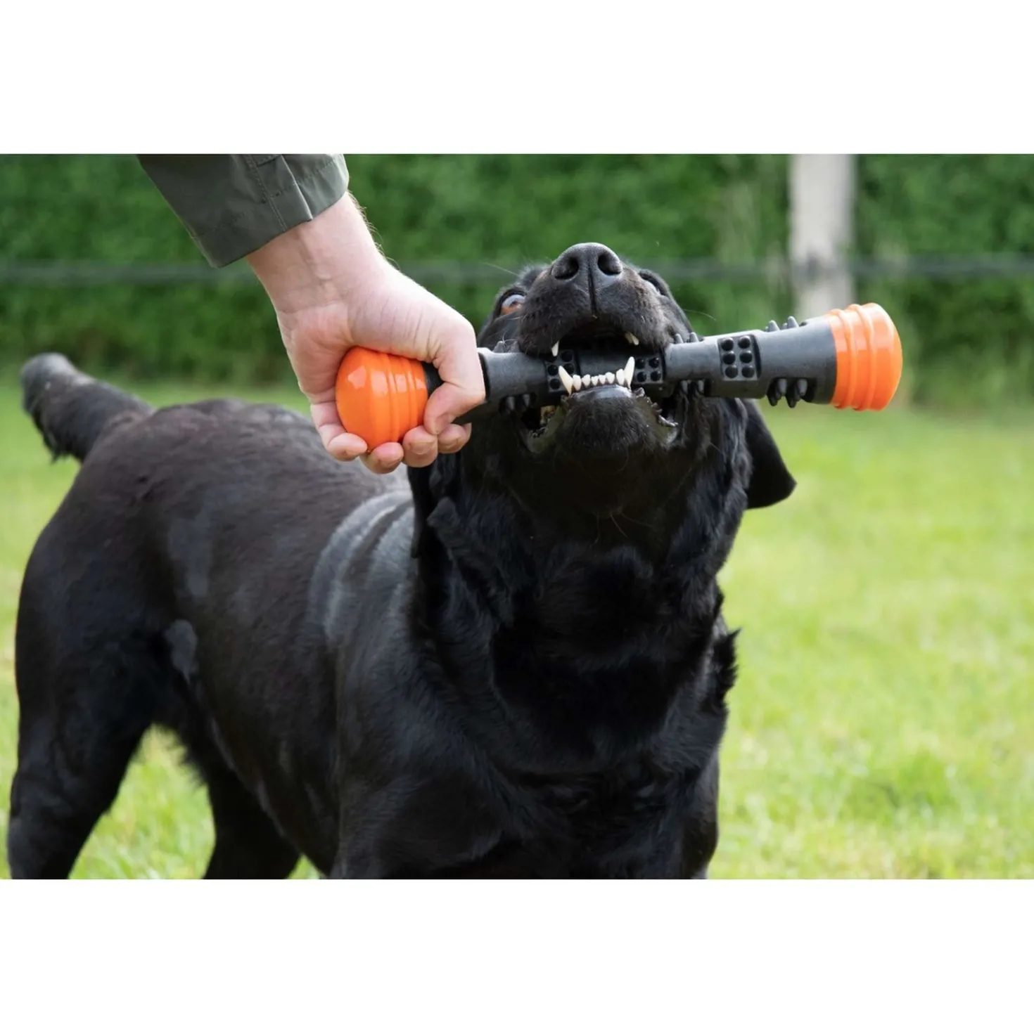 Dog Comets Werpstok Meteor Oranje