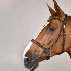Dyon Bitloos Hoofdstel Bruin