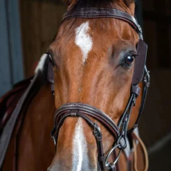 Dyon Blinkers Bruin