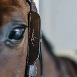 Dyon Blinkers Fancy Bruin