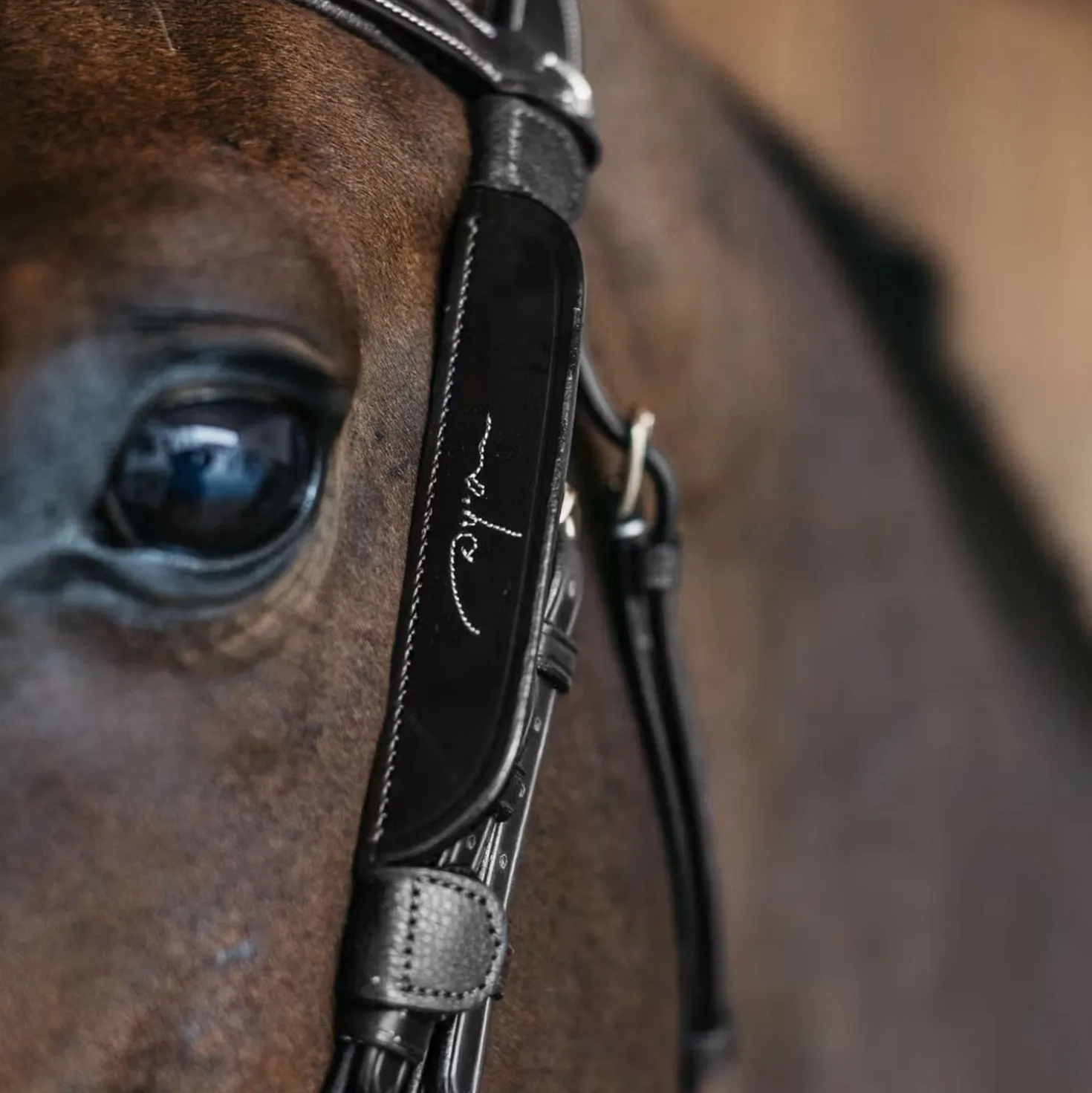 Dyon Blinkers Fancy Zwart