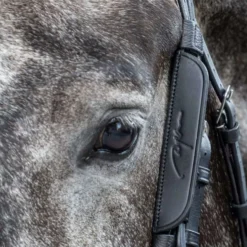 Dyon Blinkers Zwart