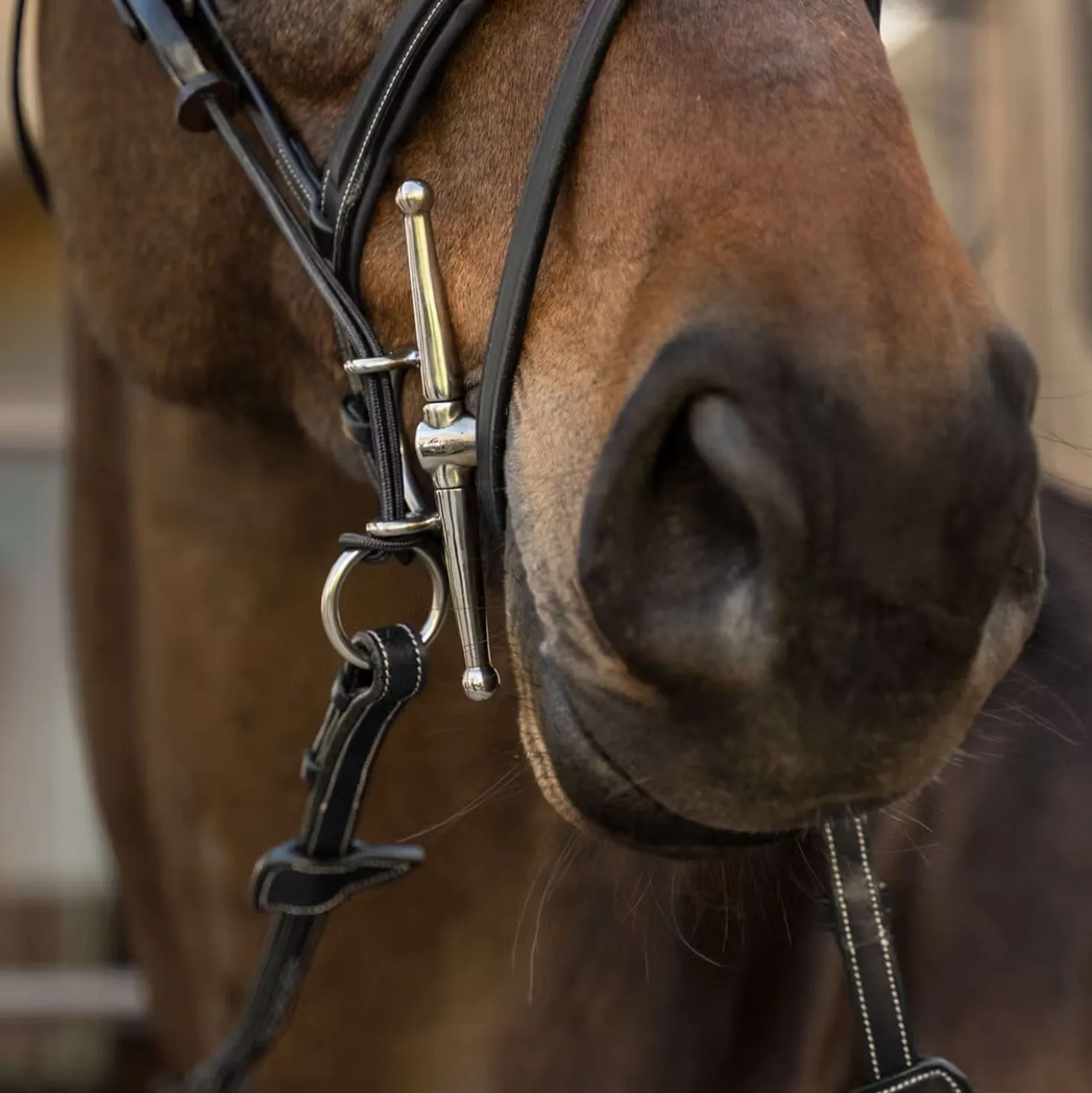 Dyon Gag Ropes US Collection Zwart
