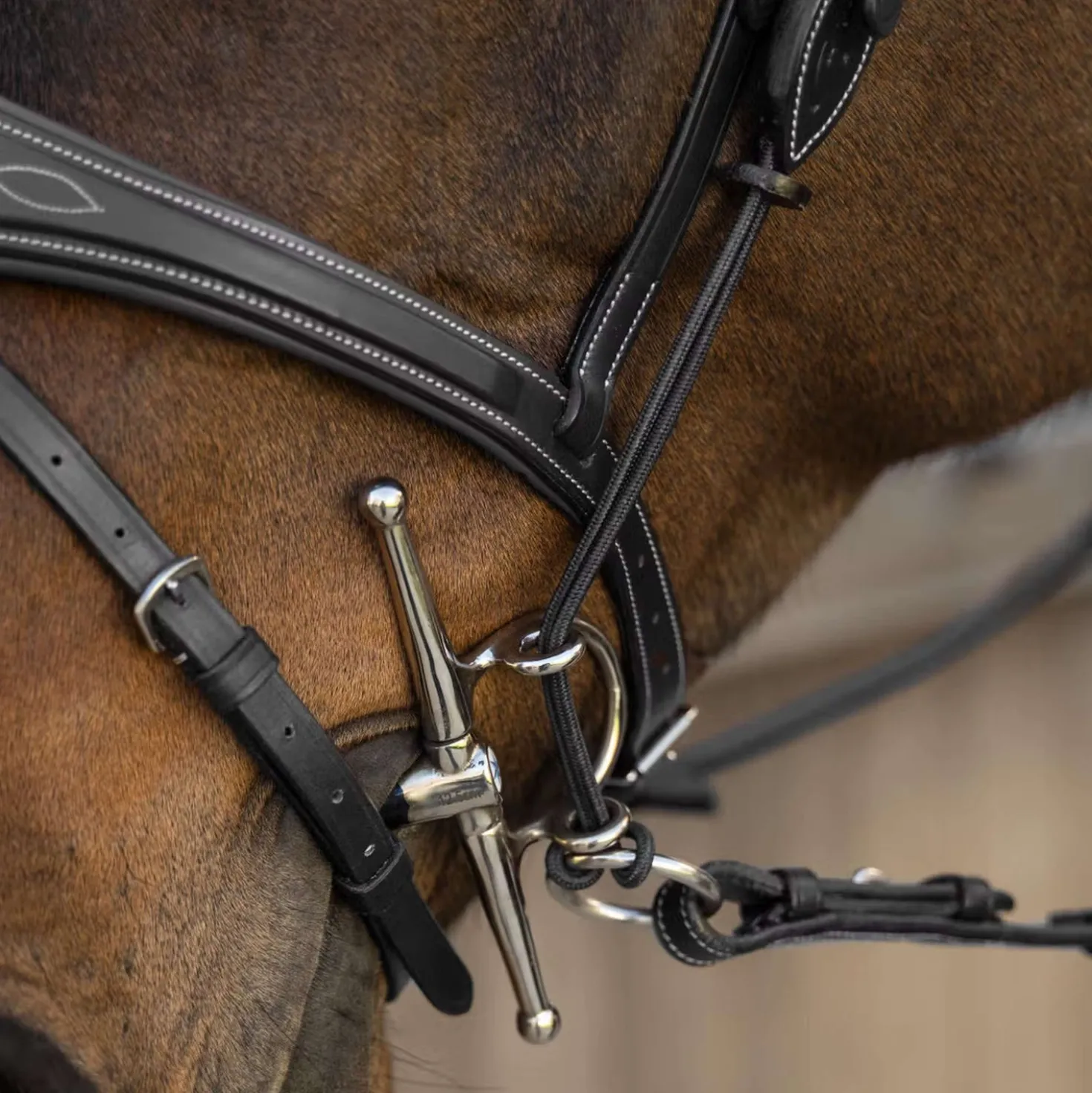 Dyon Gag Ropes US Collection Zwart