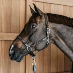 Dyon Halster Plaited Bruin