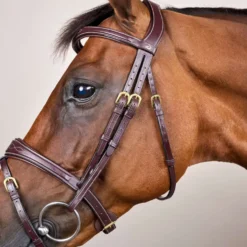 Dyon Hoofdstel Anatomic Flash Bruin