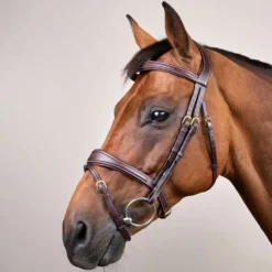 Dyon Hoofdstel Anatomic Flash Bruin