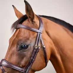 Dyon Hoofdstel Anatomic Flash Bruin