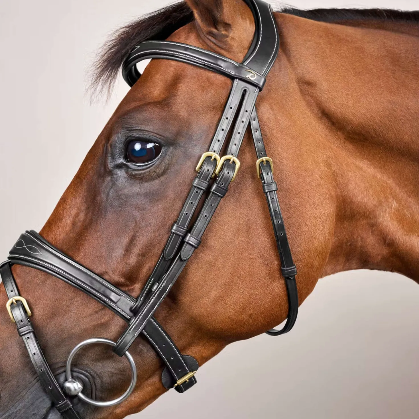 Dyon Hoofdstel Anatomic Flash Zwart