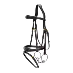 Dyon Hoofdstel Anatomic Flash Zwart