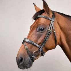 Dyon Hoofdstel Anatomic Flash Zwart