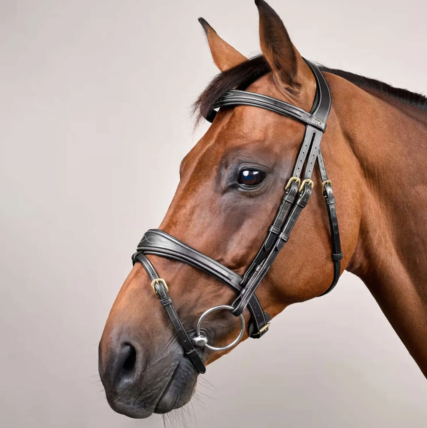 Dyon Hoofdstel Anatomic Flash Zwart