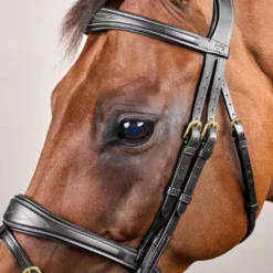Dyon Hoofdstel Anatomic Flash Zwart