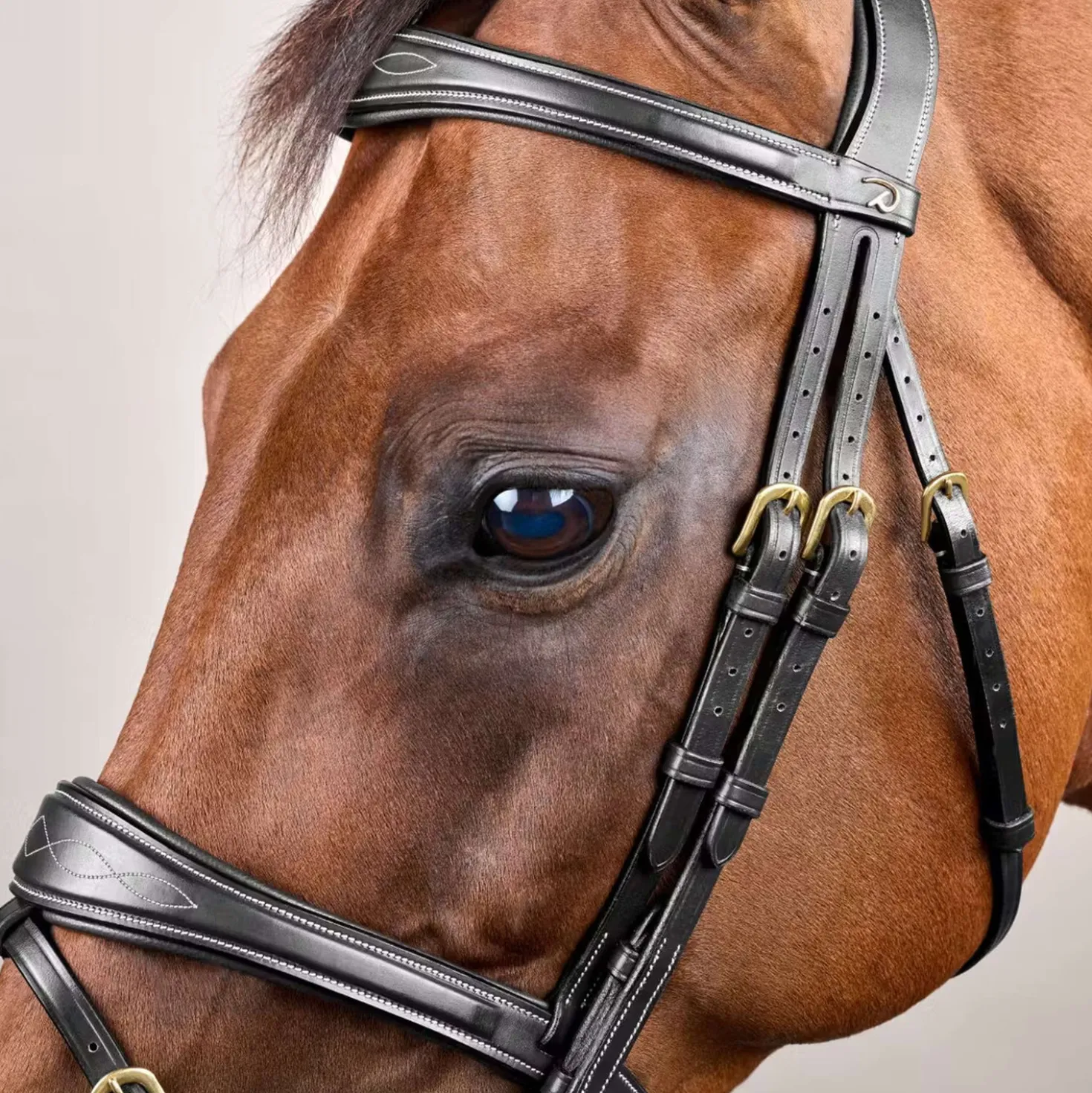 Dyon Hoofdstel Anatomic Flash Zwart