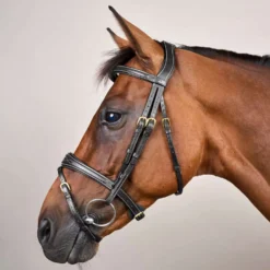 Dyon Hoofdstel Anatomic Flash Zwart