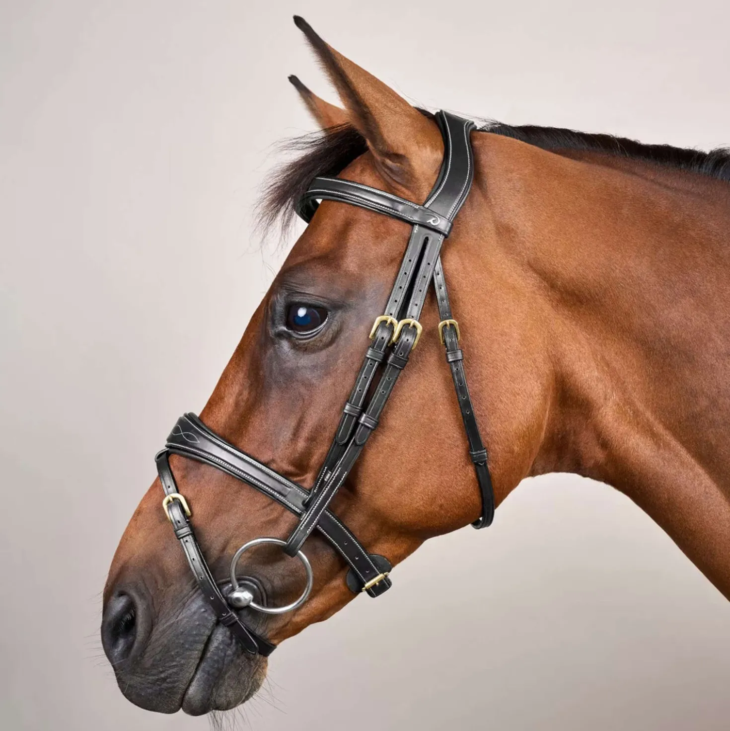 Dyon Hoofdstel Anatomic Flash Zwart