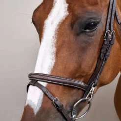 Dyon Hoofdstel Flash met Clips Bruin