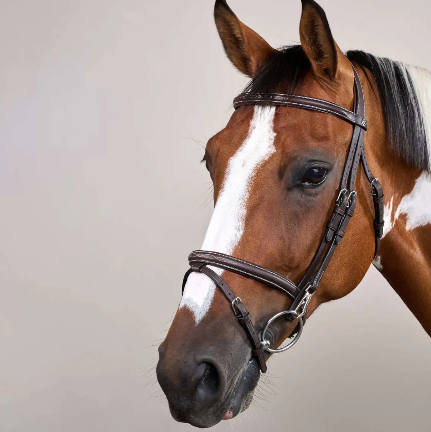 Dyon Hoofdstel Flash met Clips Bruin
