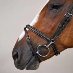 Dyon Hoofdstel Flash met Clips Zwart