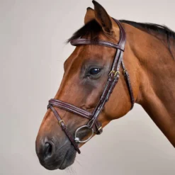 Dyon Hoofdstel Gewoven Bruin