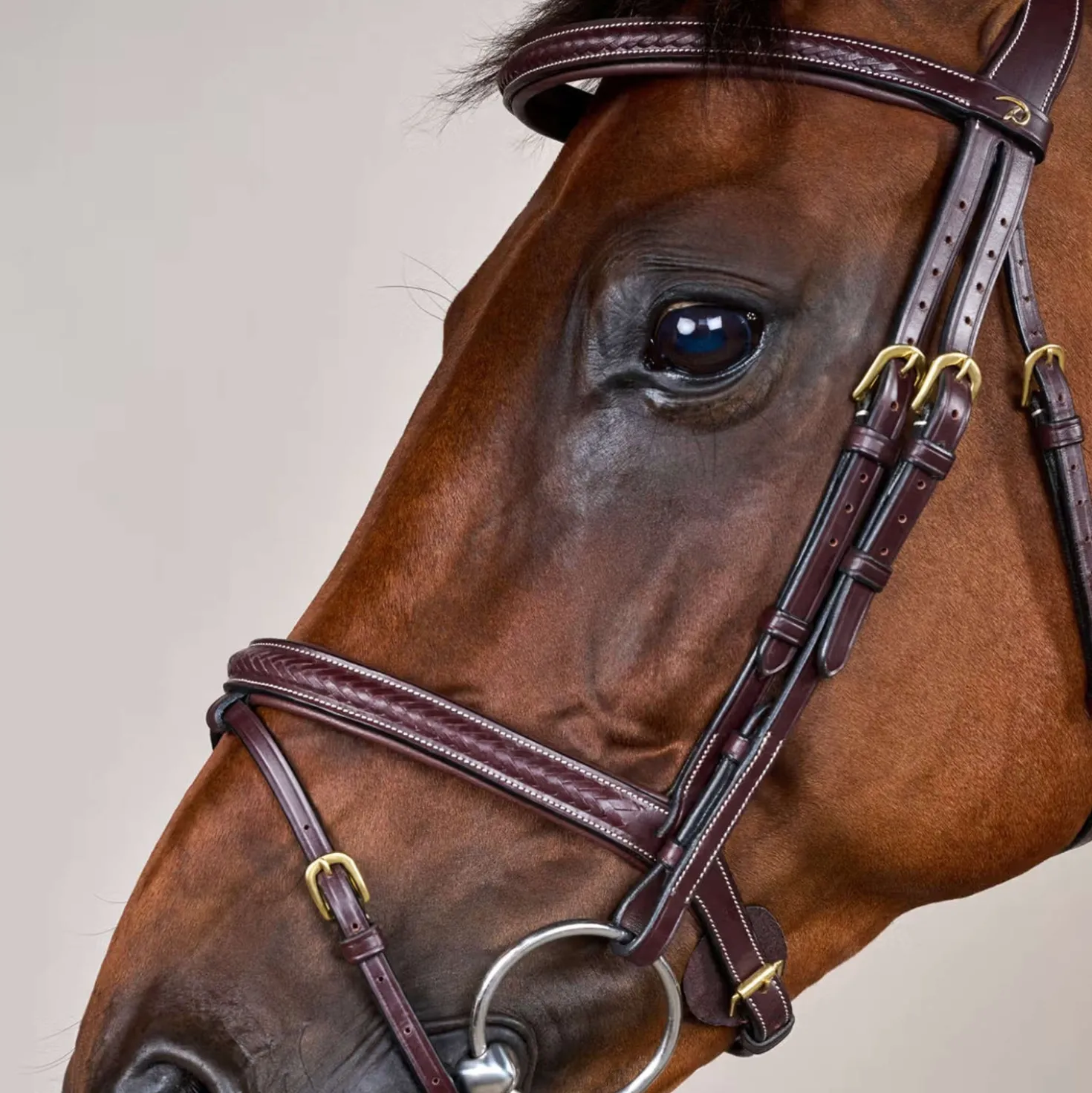 Dyon Hoofdstel Gewoven Bruin