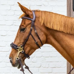Dyon Hoofdstel Hackamore Bruin