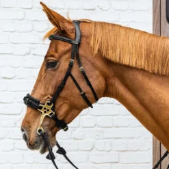 Dyon Hoofdstel Hackamore Zwart
