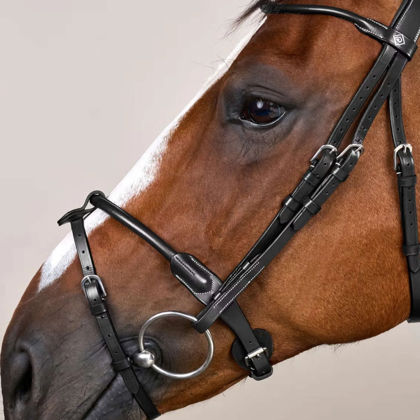 Dyon Hoofdstel Round Leather Zwart