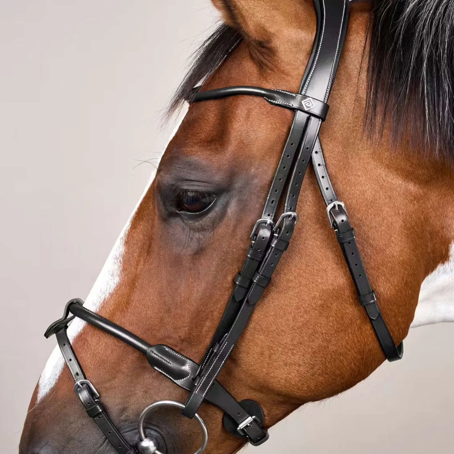Dyon Hoofdstel Round Leather Zwart